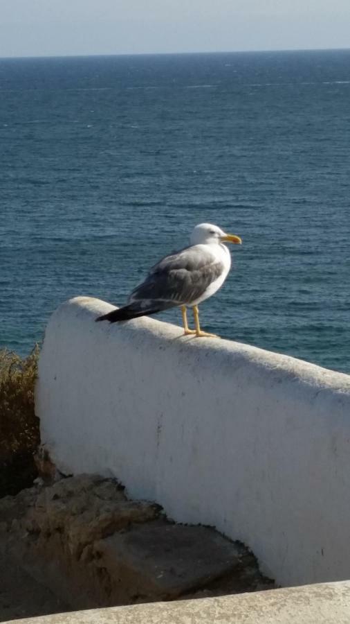 Appartamento Algarve/Sra da Rocha Porches  Esterno foto